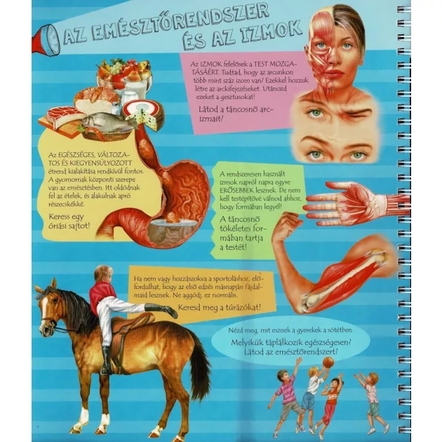 Zseblámpával - Az emberi testben