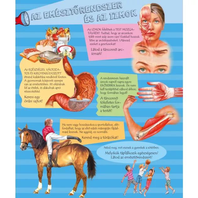 Zseblámpával - Az emberi testben