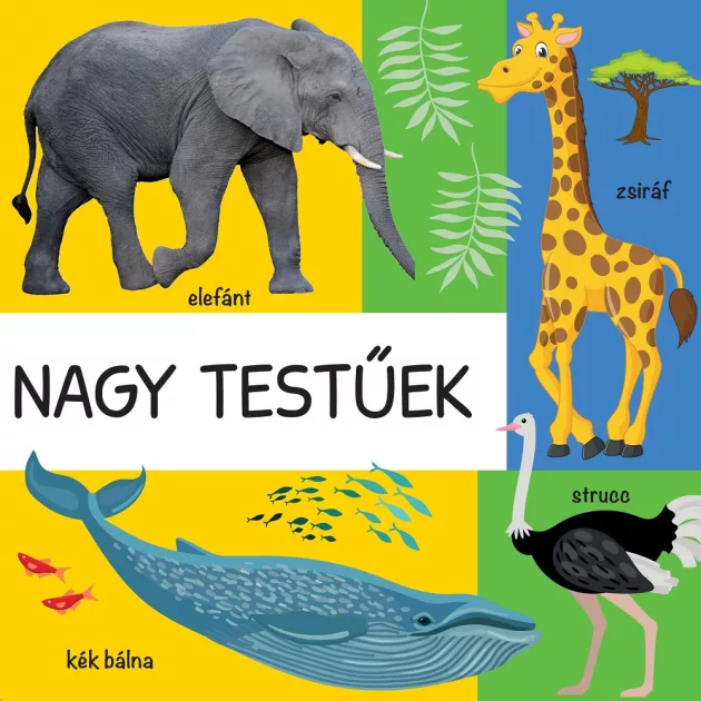 101 színes kép a vadon élő állatokról