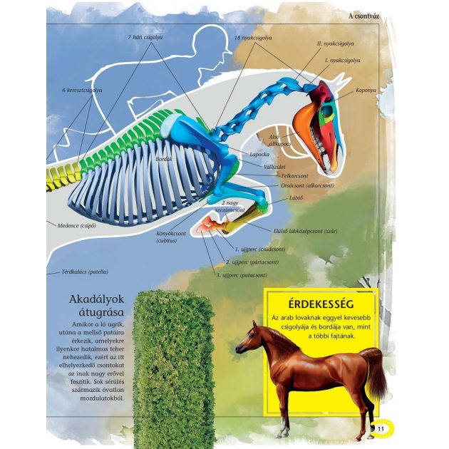 A lovak enciklopédiája