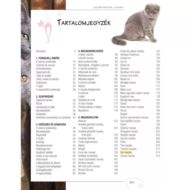 Legjobb barátunk, a macska