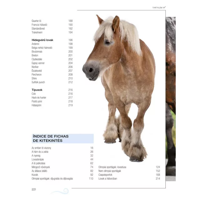 Legjobb barátunk, a ló