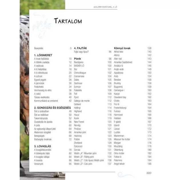 Legjobb barátunk, a ló