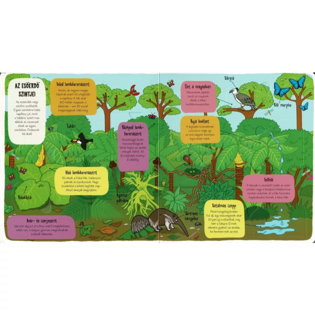 Kis felfedezők - Minden, ami dzsungel