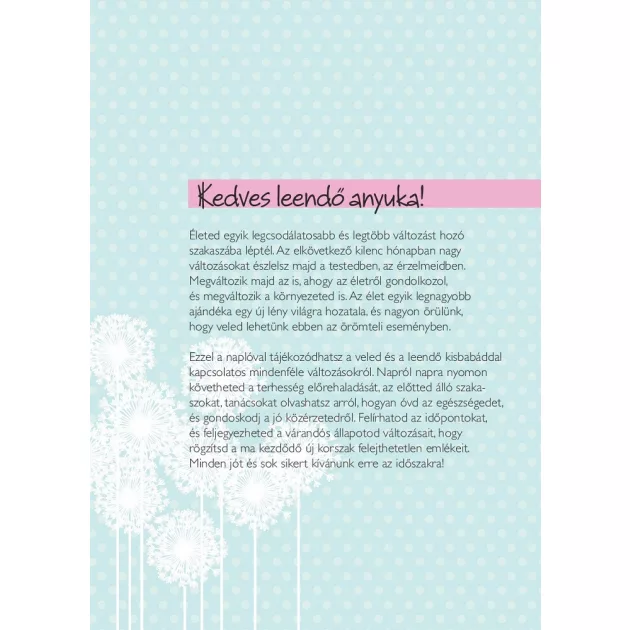 Napló a babavárás 9 hónapjáról