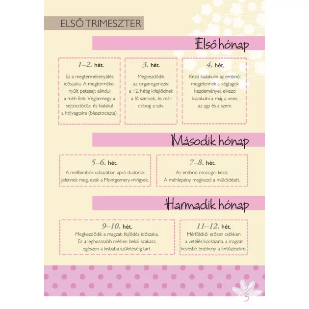 Napló a babavárás 9 hónapjáról