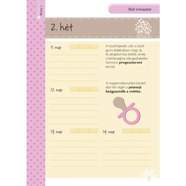 Napló a babavárás 9 hónapjáról