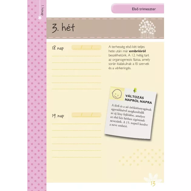 Napló a babavárás 9 hónapjáról