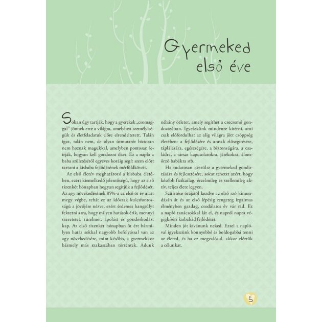 Napló a babám első évéről (lányos)