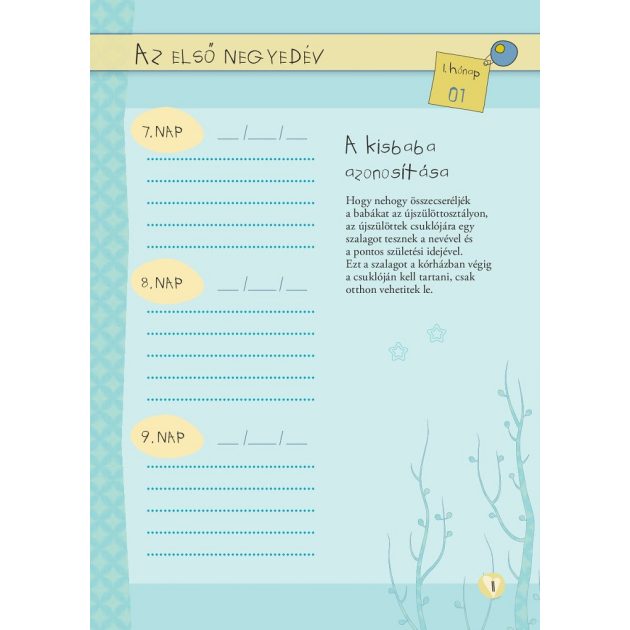 Napló a babám első évéről (lányos)