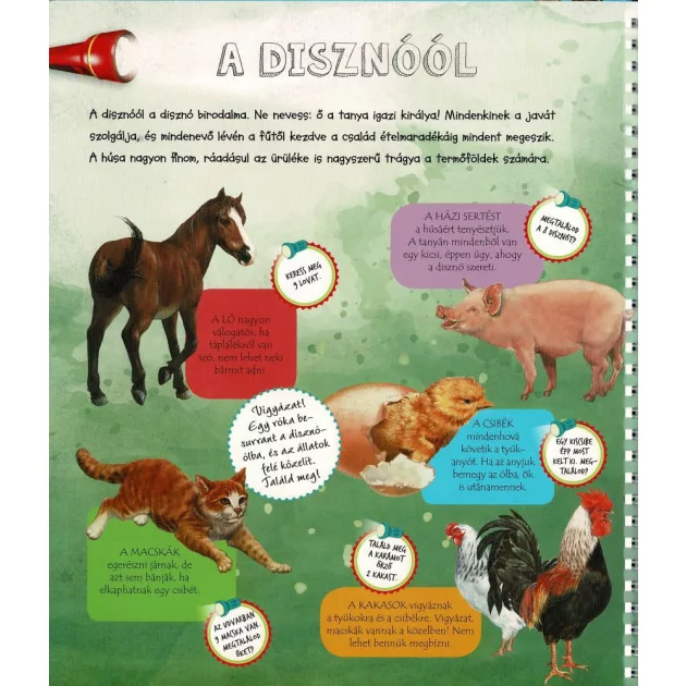 Zseblámpával - A tanyán