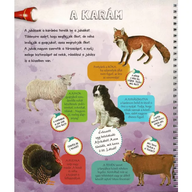 Zseblámpával - A tanyán