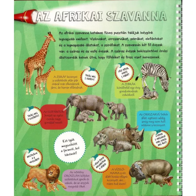 Zseblámpával - Az állatkölykök nyomában