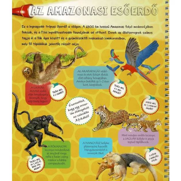 Zseblámpával - Az állatkölykök nyomában