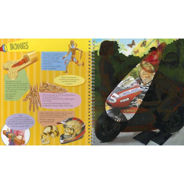 Torch Book - The Human Body