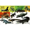 My First 100 Words - Wild Animals