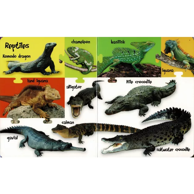 My First 100 Words - Wild Animals