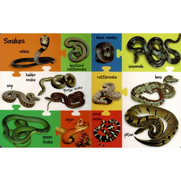 My First 100 Words - Wild Animals