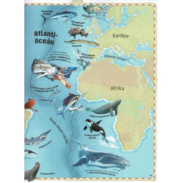 Atlasz az óceánokról