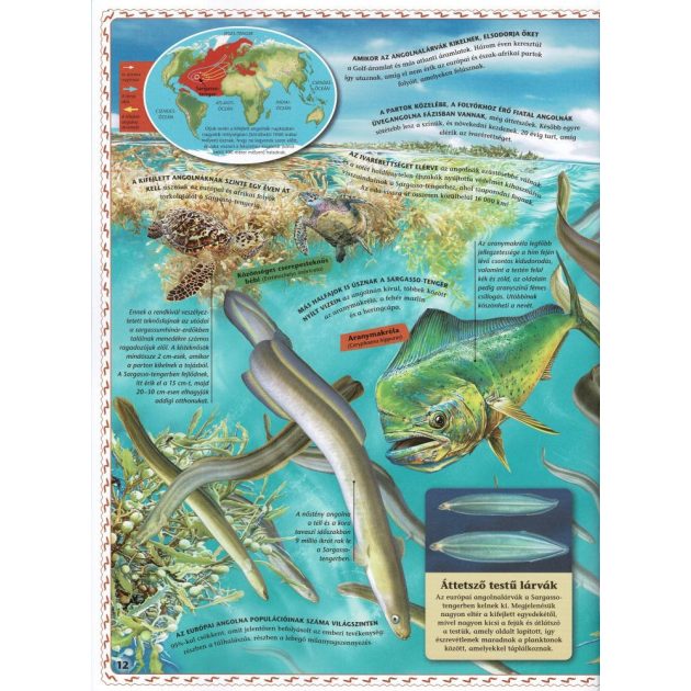 Atlasz az óceánokról