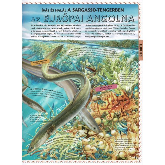 Atlasz az óceánokról