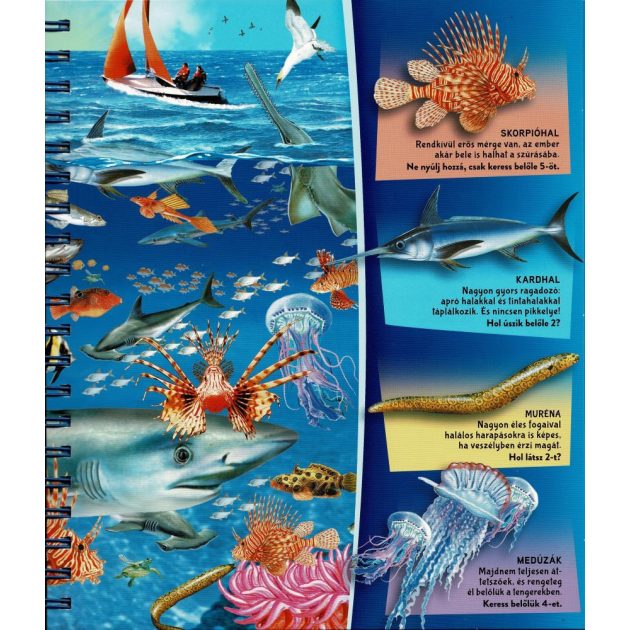 Nagyítóval - A tenger alatt