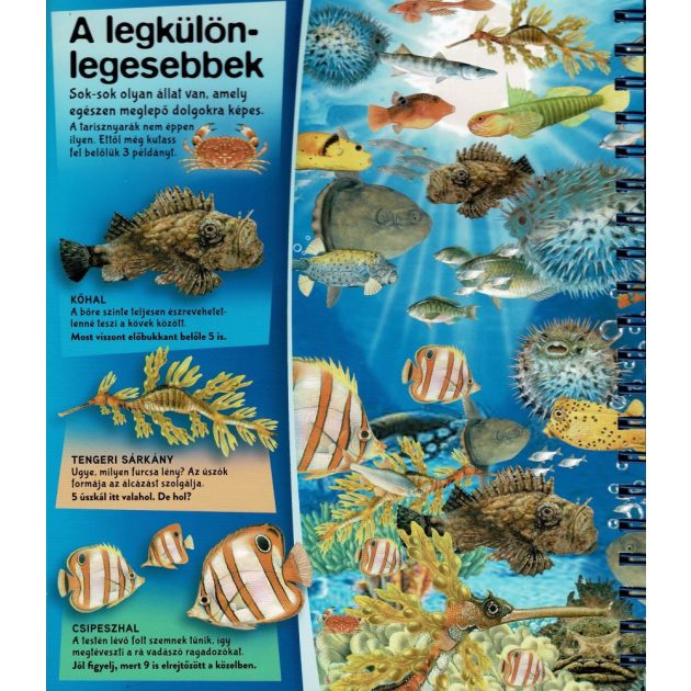 Nagyítóval - A tenger alatt