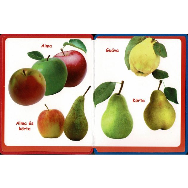 Szivacskönyv - Gyümölcsök