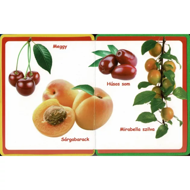 Szivacskönyv - Gyümölcsök