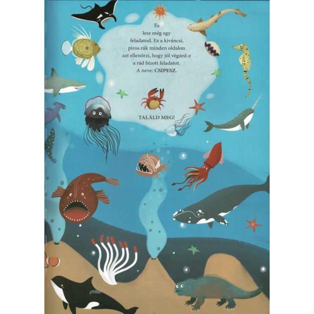Böngéssz és számolj - A tenger állatai