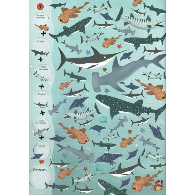 Böngéssz és számolj - A tenger állatai