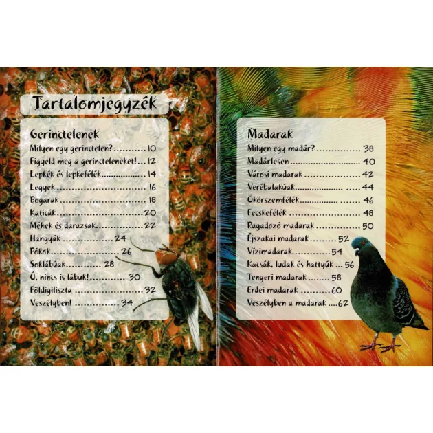 Séta a természetben