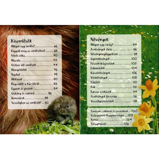 Séta a természetben