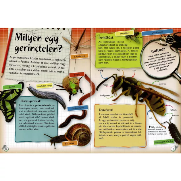 Séta a természetben