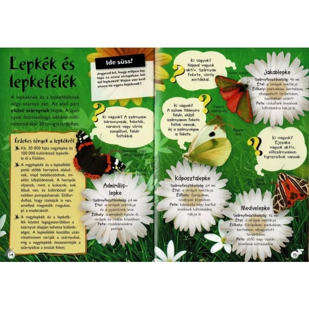 Séta a természetben