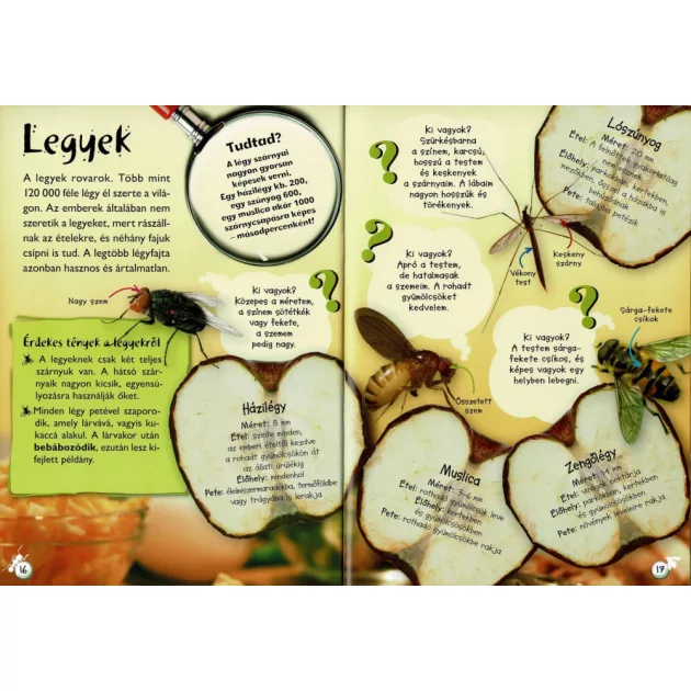 Séta a természetben