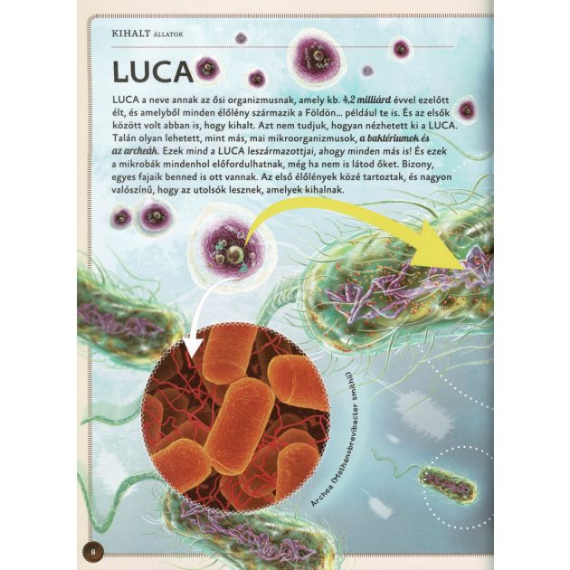 Varázslatos útmutató a kihalt állatokhoz