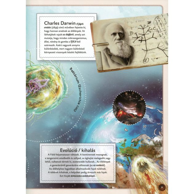 Varázslatos útmutató a kihalt állatokhoz