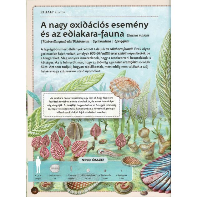 Varázslatos útmutató a kihalt állatokhoz