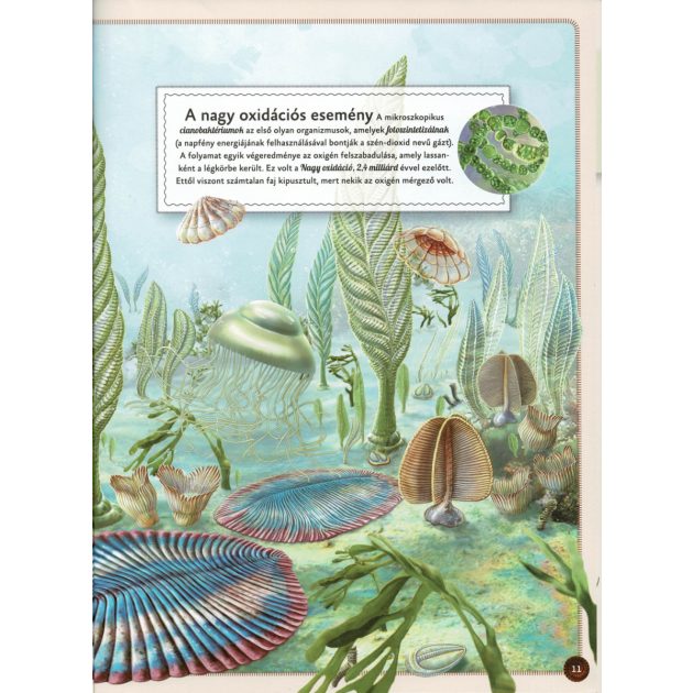 Varázslatos útmutató a kihalt állatokhoz