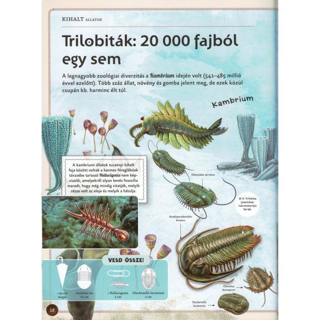 Varázslatos útmutató a kihalt állatokhoz