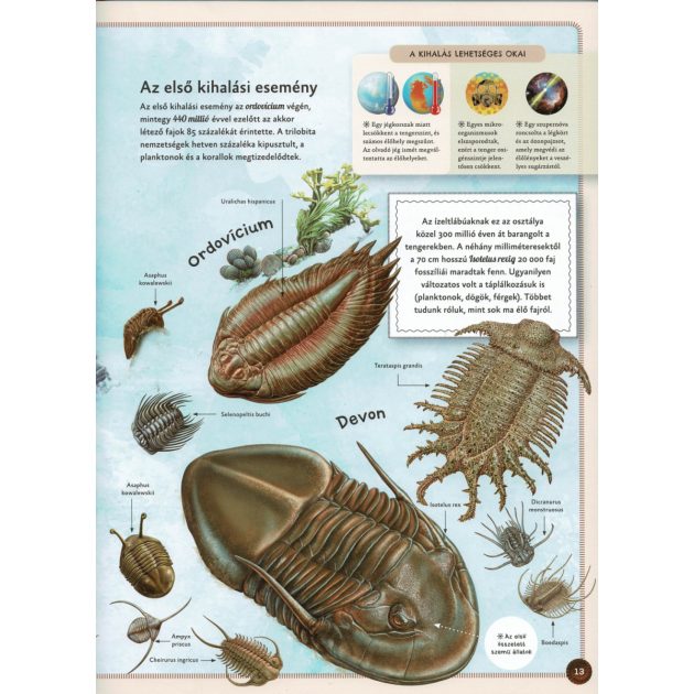 Varázslatos útmutató a kihalt állatokhoz