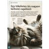 Varázslatos útmutató a macskákhoz