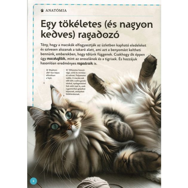 Varázslatos útmutató a macskákhoz