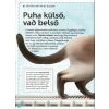 Varázslatos útmutató a macskákhoz