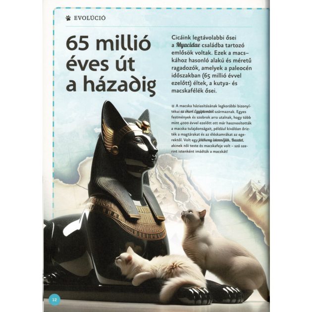 Varázslatos útmutató a macskákhoz