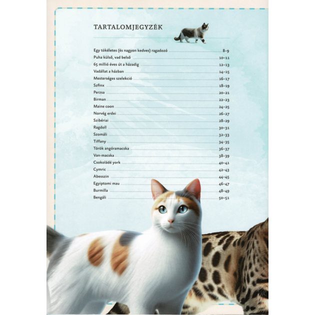 Varázslatos útmutató a macskákhoz