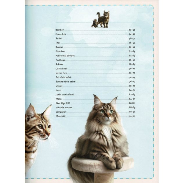 Varázslatos útmutató a macskákhoz