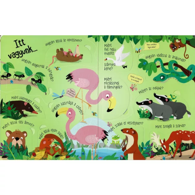 Nyisd ki és fedezd fel - Az állatok