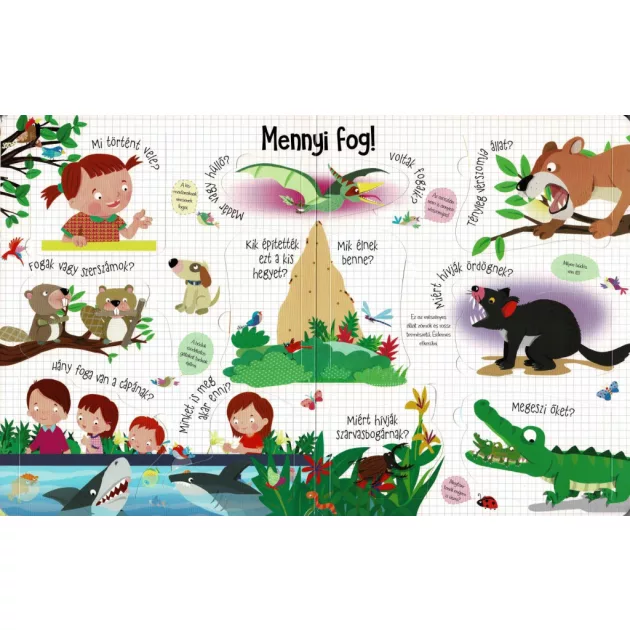 Nyisd ki és fedezd fel - Az állatok